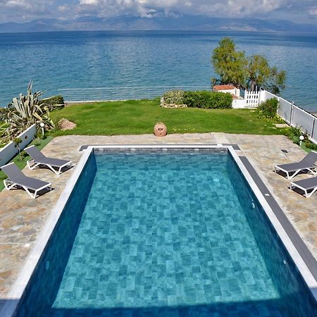 Antorina Beachfront Villas With Private Pools Kamari  Екстер'єр фото
